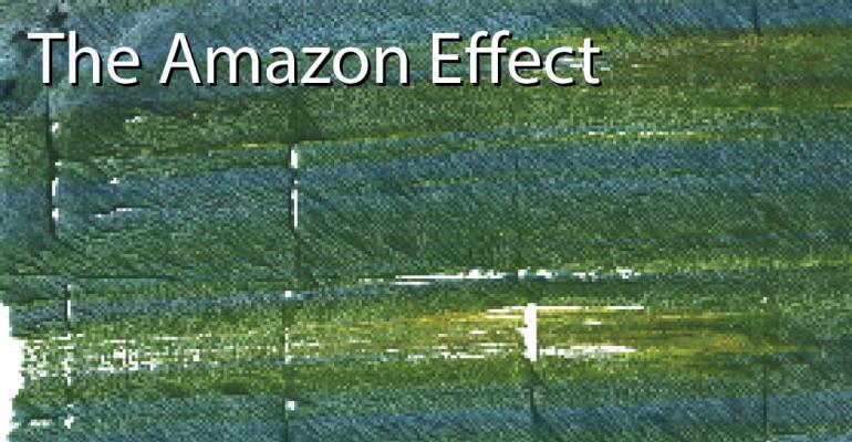 the_amazon_effect_promo