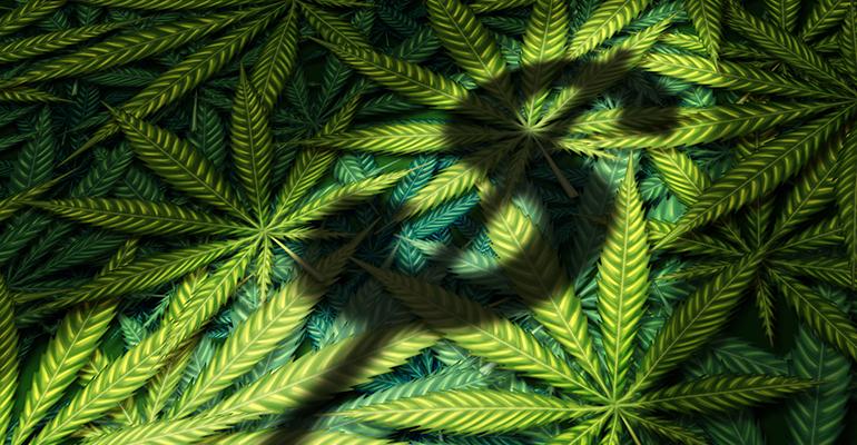 new cannabis law attracting real estate investors to golden state