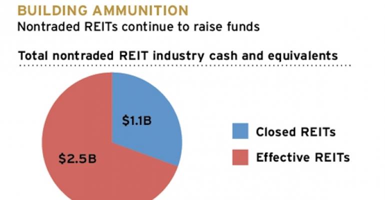 Nontraded REITs&#039; Cash and Assets