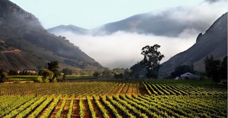 Beyond the Bottle: Vineyard Investment in California