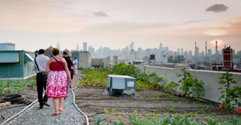 The Brooklyn Grange a oneacre farm atop The Standard Motor Products Building in Long Island City