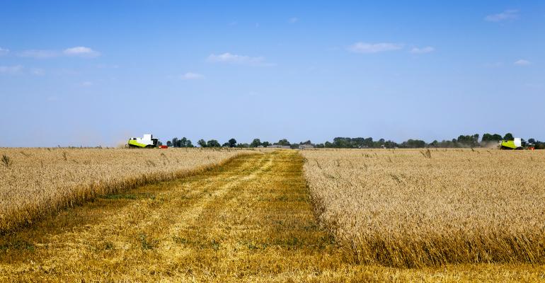 Credit Crunch for Farm Renters Compounds Stress on U.S. Growers