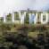 10-must-770-hollywood sign_James D. Morgan:Getty Images.jpg