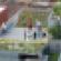 Insurance, Liability Issues Sprout From Sustainable Development