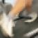 Running to Stand Still: The Office Sector Sees Marginal Improvements