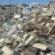 Electronics Recycling Isn’t Enough, Say E-Waste Companies