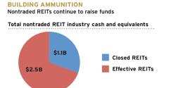 Nontraded REITs&#039; Cash and Assets