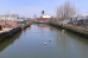 Gowanus