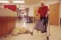 assisted living-woman with walker and dog