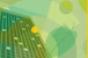 2007 Green Building Survey