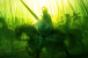U.S. Firms Lead in Green for Global 100 Index