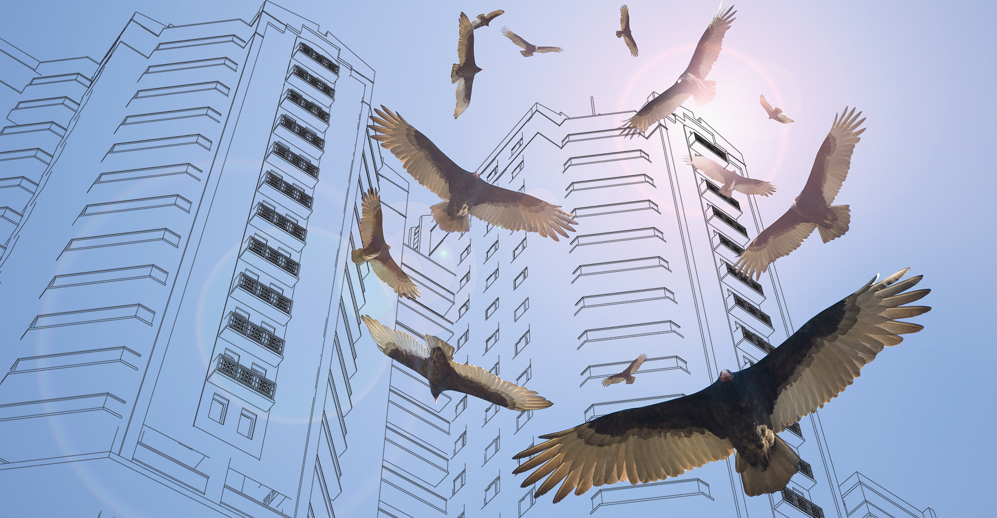 In A Covid 19 World Hotel Owners Must Be Wary Of Vulture Funds National Real Estate Investor In A Covid 19 World Hotel Owners Must Be Wary Of Vulture Funds National Real Estate Investor